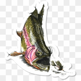 Illustration, HD Png Download - rainbow trout png
