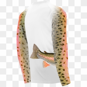 Coastal Cutthroat Trout, HD Png Download - rainbow trout png