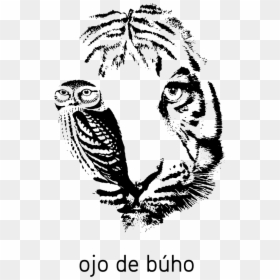 White Tiger Eyes, HD Png Download - ojo png