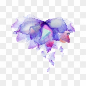 Iris, HD Png Download - falling flowers png