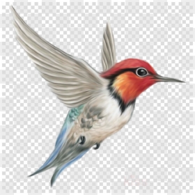 Flying Bird Png Hd, Transparent Png - dove flying png