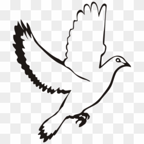 Vector White Dove Png, Transparent Png - dove flying png