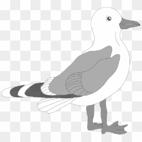 Seagull Clipart Png, Transparent Png - dove flying png