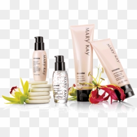 Mary Kay Cosmetics 2013, HD Png Download - mary png