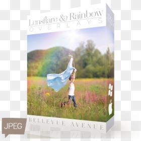 Field, HD Png Download - rainbow lens flare png