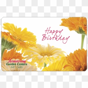 Birthday Gift Png, Transparent Png - birthday gift png