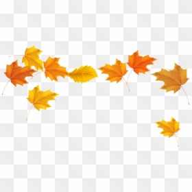 Autumn Leaves Transparent Png, Png Download - fall leaves transparent png
