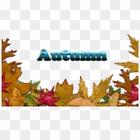 Autumn Leaves Border Png Transparent, Png Download - fall leaves transparent png