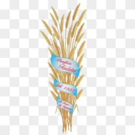 Einkorn Wheat, HD Png Download - grocery store png
