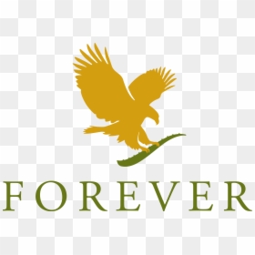 Forever Living Products Logo, HD Png Download - eagle .png