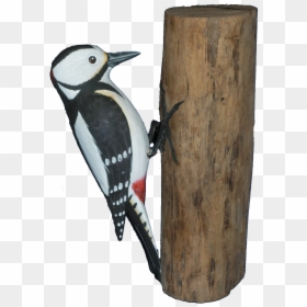 Leuconotopicus, HD Png Download - woodpecker png