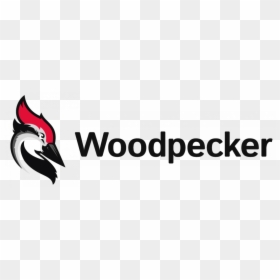 Graphics, HD Png Download - woodpecker png