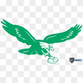 Kelly Green Eagle Logo, HD Png Download - eagle .png