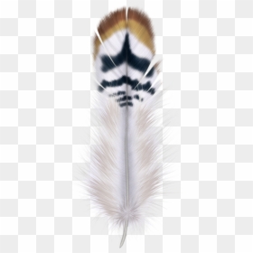 Beautiful Feathers On Transparent Background, HD Png Download - feather outline png