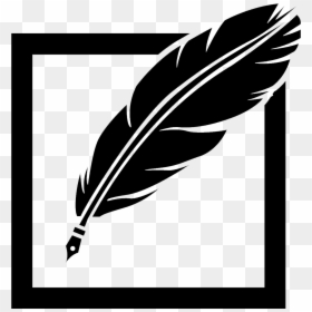 Transparent Background Feather Pen, HD Png Download - feather outline png