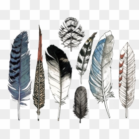 Water Color Feather, HD Png Download - feather outline png