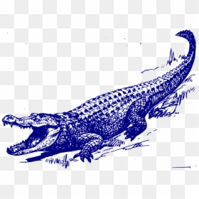 Alligator Vector, HD Png Download - alligator clipart png