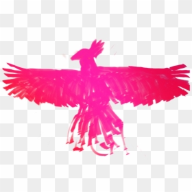 Eagle, HD Png Download - feather outline png