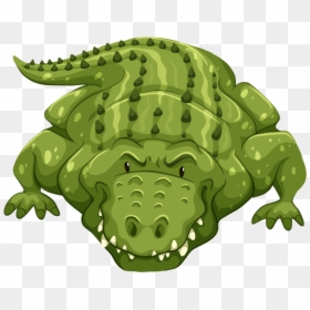 Crocodile Color, HD Png Download - alligator clipart png