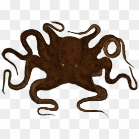 Octopus Profile, HD Png Download - octopus clipart png