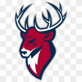 Torpedo Nizhny Novgorod Logo, HD Png Download - torpedo png