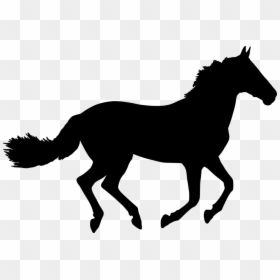 Clip Art Horse Silhouette, HD Png Download - alligator silhouette png