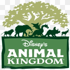 Disney Animal Kingdom Logo, HD Png Download - alligator silhouette png