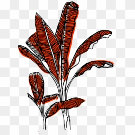 Illustration, HD Png Download - mala png