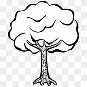 Tree Black And White Png, Transparent Png - trees clipart png