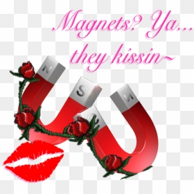Greeting Card, HD Png Download - magnets png