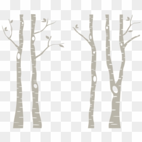Birch Tree Silhouette Free, HD Png Download - trees clipart png