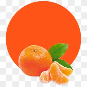 Mandarin Orange, HD Png Download - clementine png