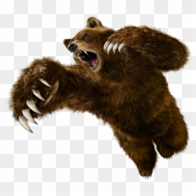 Tekken 6 Kuma, HD Png Download - png renders