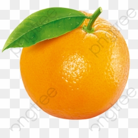 Orange Fruit, HD Png Download - clementine png