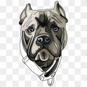 Canis Panther, HD Png Download - baloo png