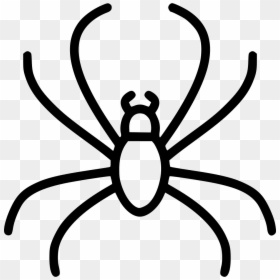 Insect, HD Png Download - png spider web