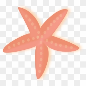 Starfish, HD Png Download - starfish cartoon png