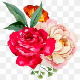 Garden Roses, HD Png Download - blowing glitter png