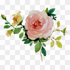Vectors Watercolor Border Flowers, HD Png Download - blowing glitter png