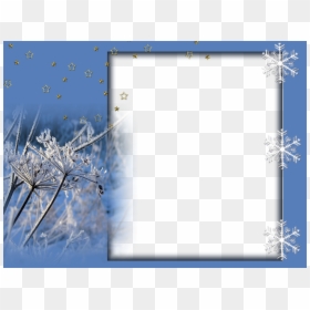 Twig, HD Png Download - winter frame png