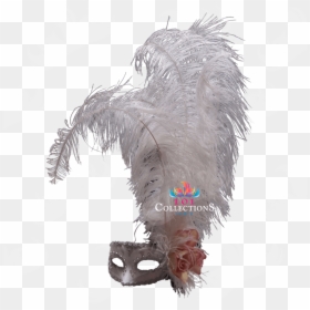 Plush, HD Png Download - feather boa png