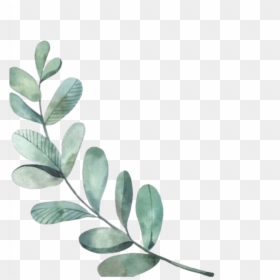 Green Leaves Watercolor Png, Transparent Png - watercolor leaf png