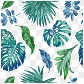 Tropical Leaves Illustration Free, HD Png Download - watercolor leaf png