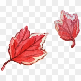 Watercolor Leaf Png, Transparent Png - watercolor leaf png