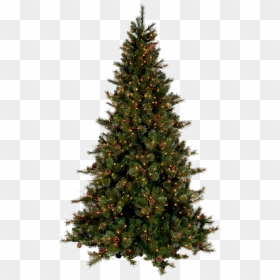 Top Of Christmas Tree Png, Transparent Png - row of trees png