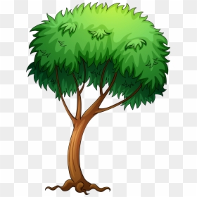 Tree With A Bird, HD Png Download - row of trees png