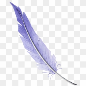 Plumas Png Sin Fondo, Transparent Png - plumas png