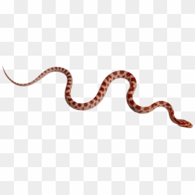Snake Png, Transparent Png - snake icon png