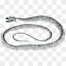 Snake Skeleton Black And White, HD Png Download - snake icon png