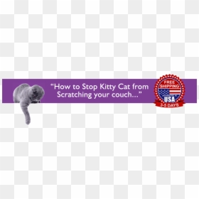 Lavender, HD Png Download - cat scratch png
